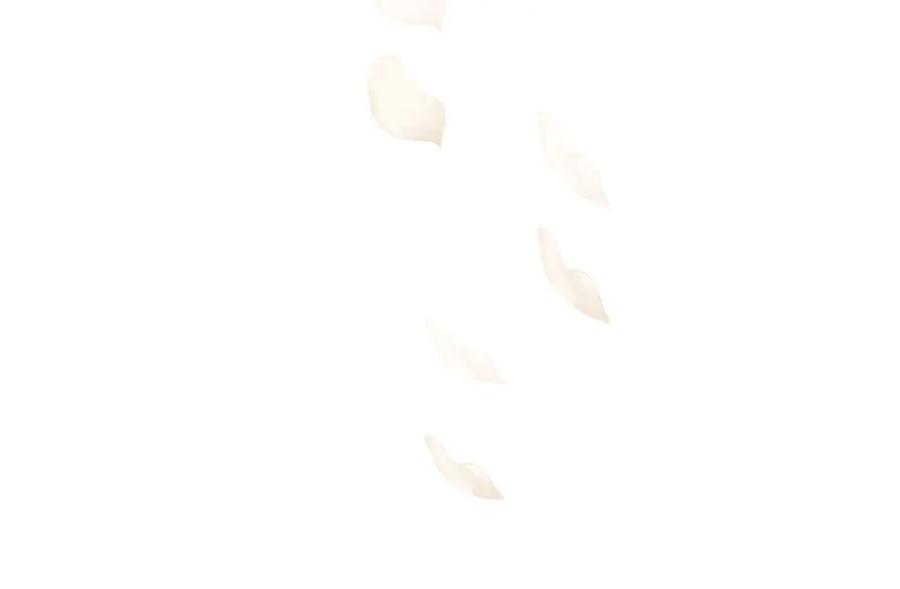 第207页