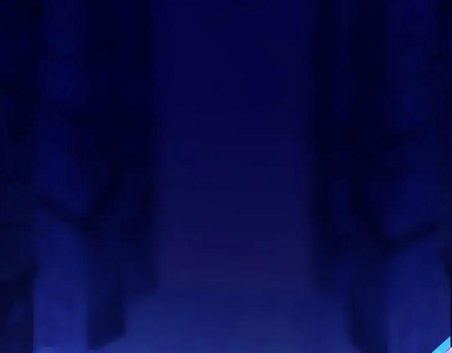 第234页
