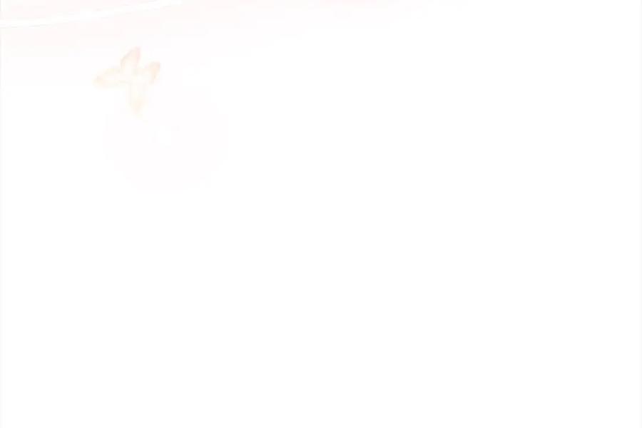 第224页