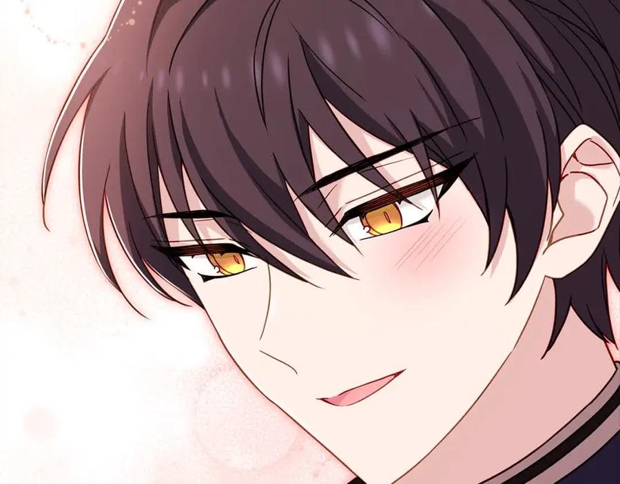 第242页