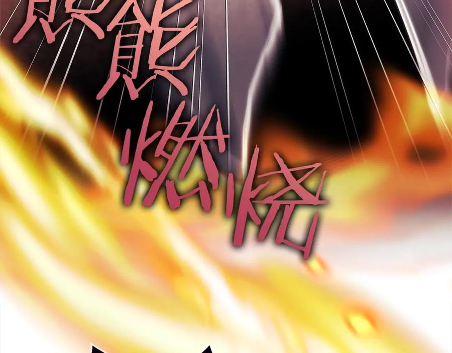 第242页