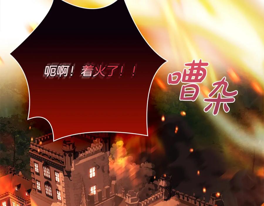 第243页