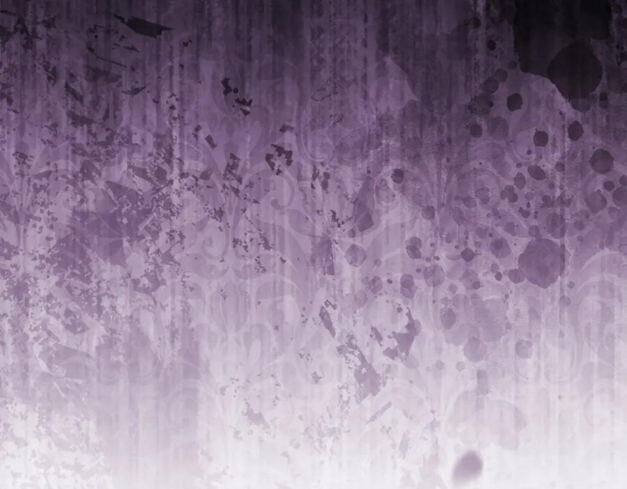 第256页