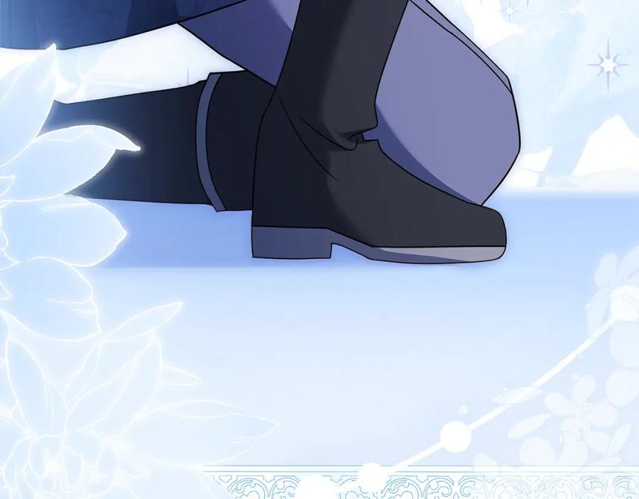 第240页