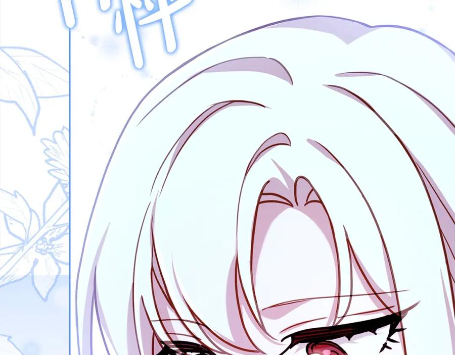 第247页