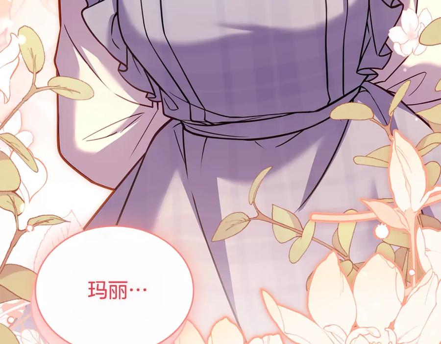 第239页
