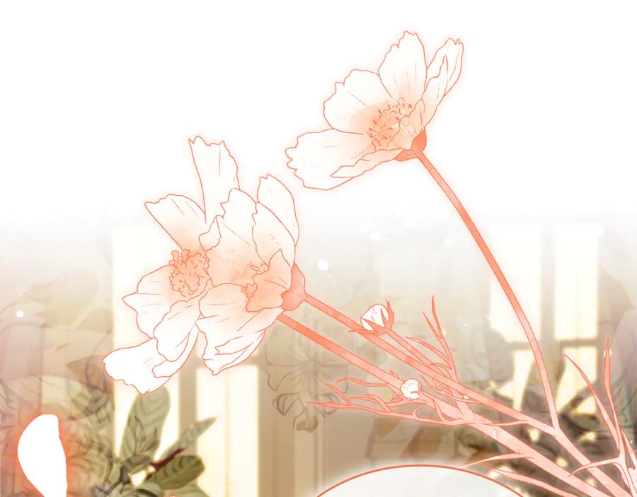 第252页