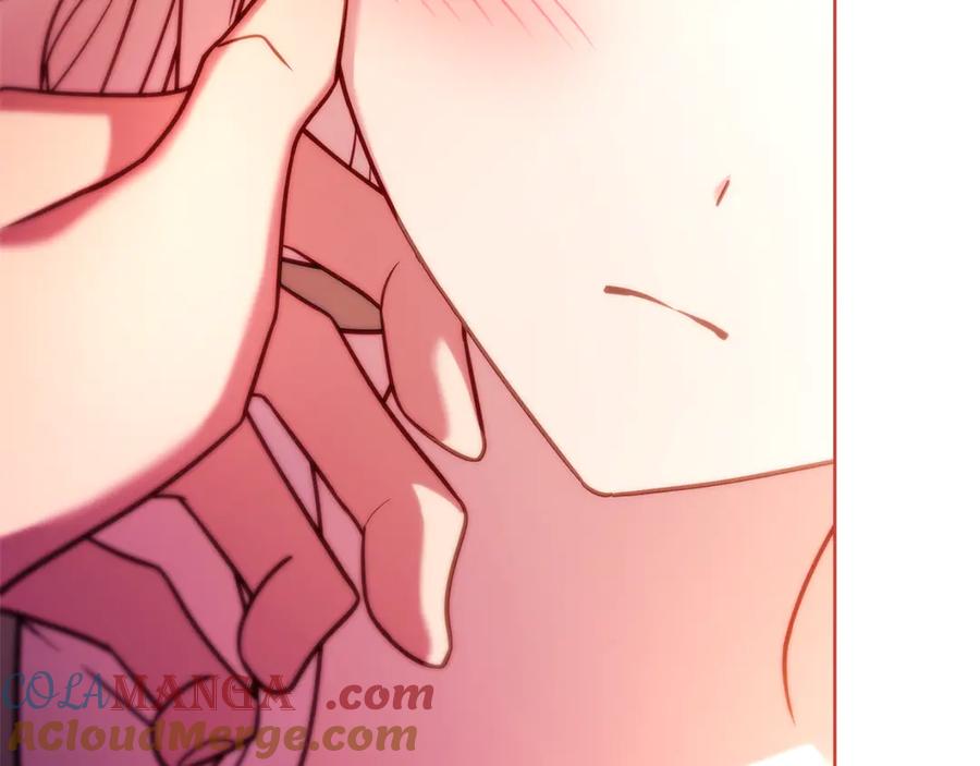 第245页