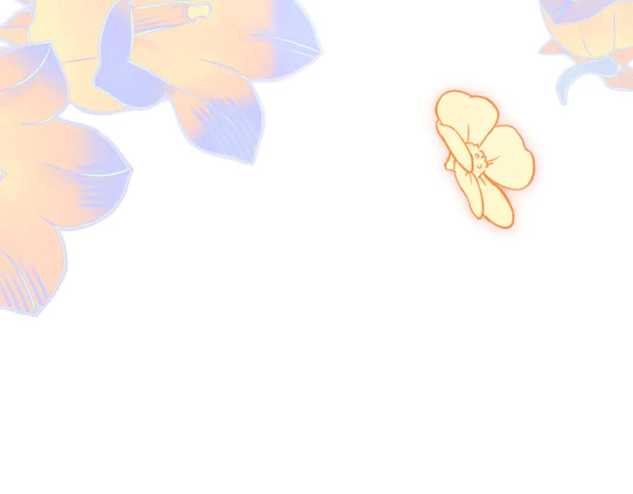 第244页