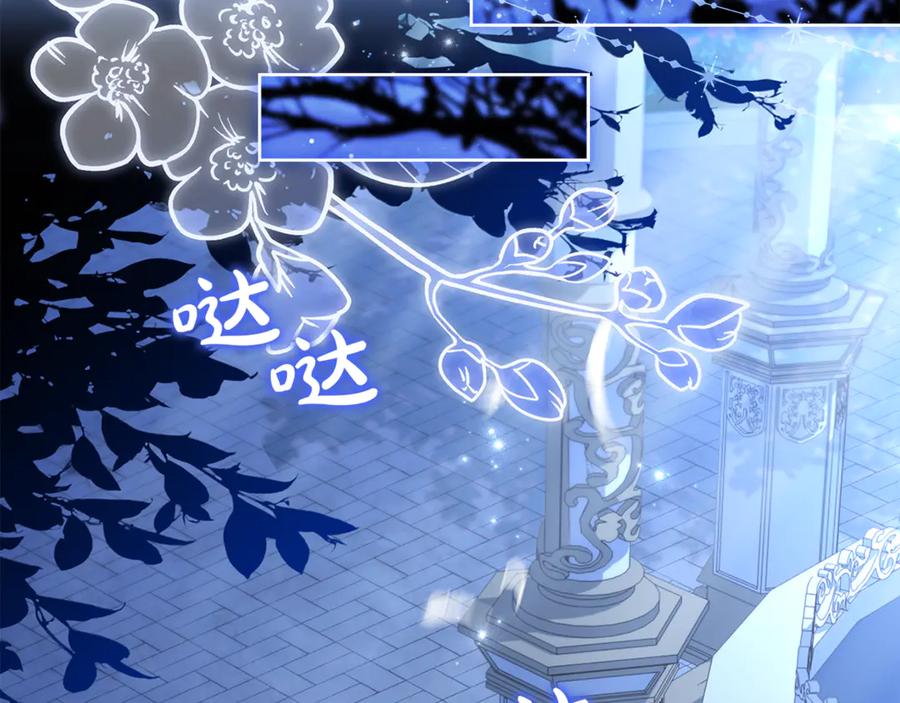 第204页
