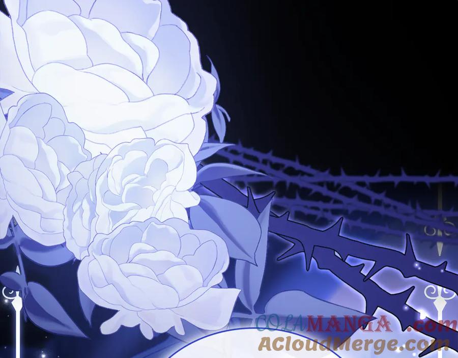 第241页