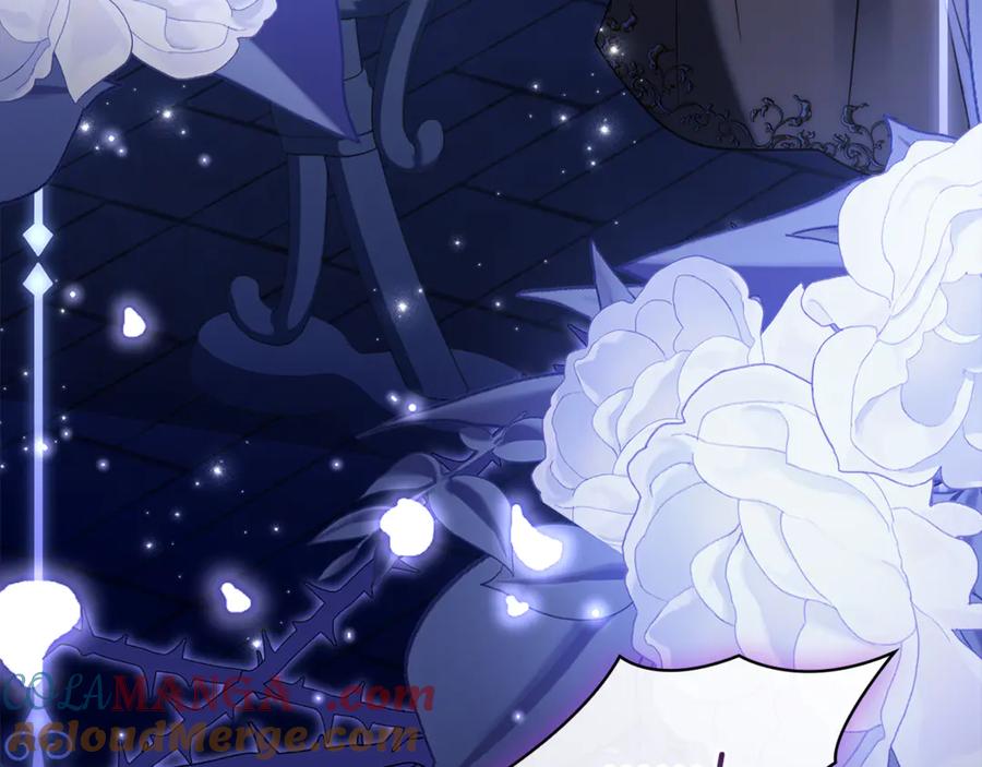 第245页