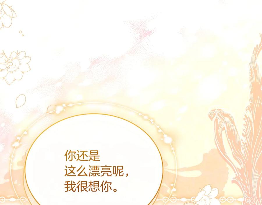 第255页