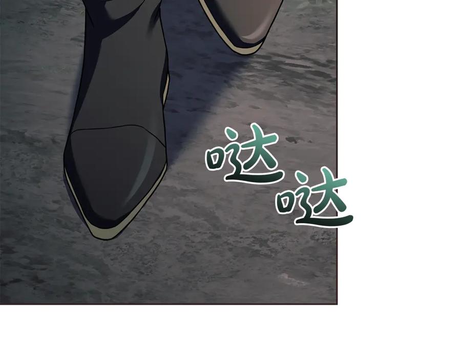 第204页