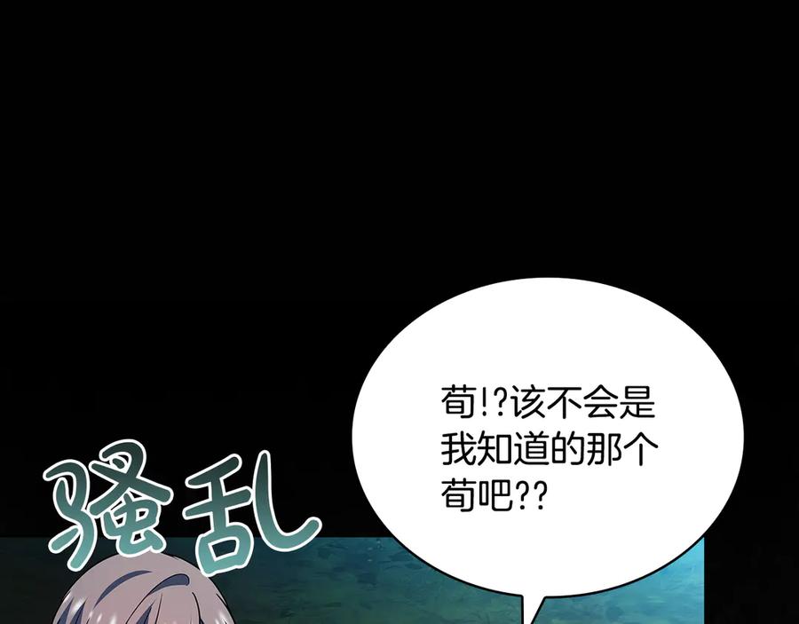 第223页