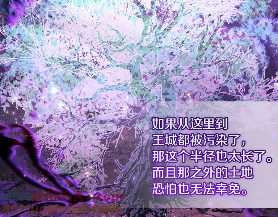 第241页