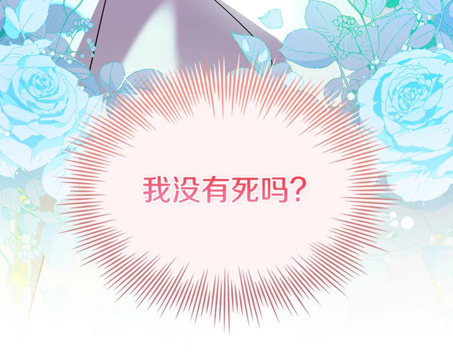 第223页