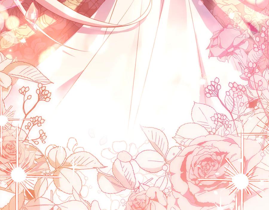 第244页