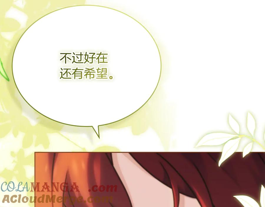 第217页