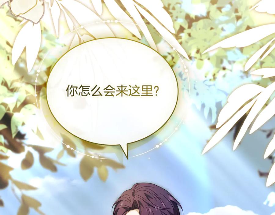 第239页