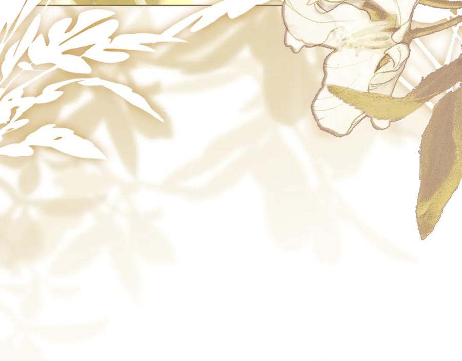 第242页