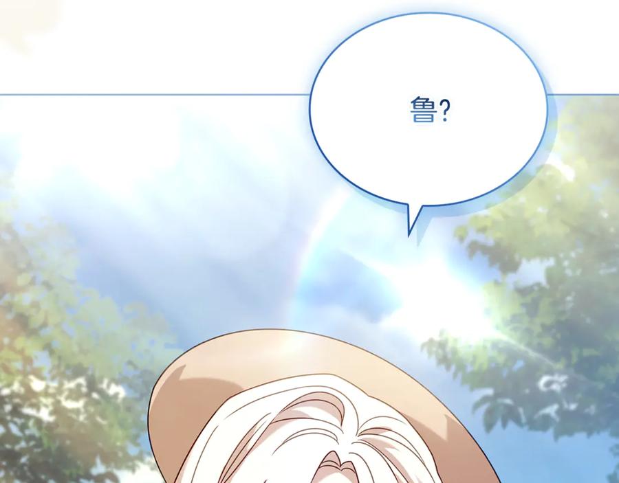 第243页