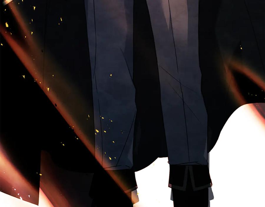 第223页
