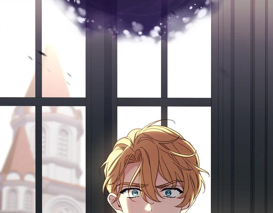 第240页