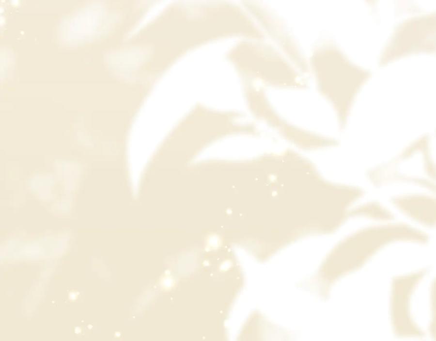 第219页
