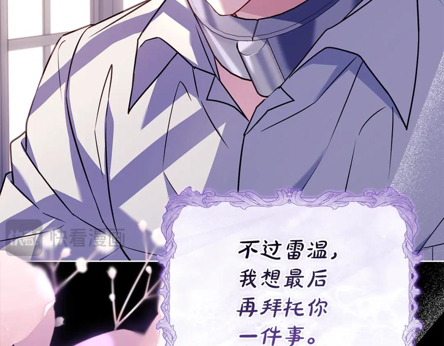 第242页