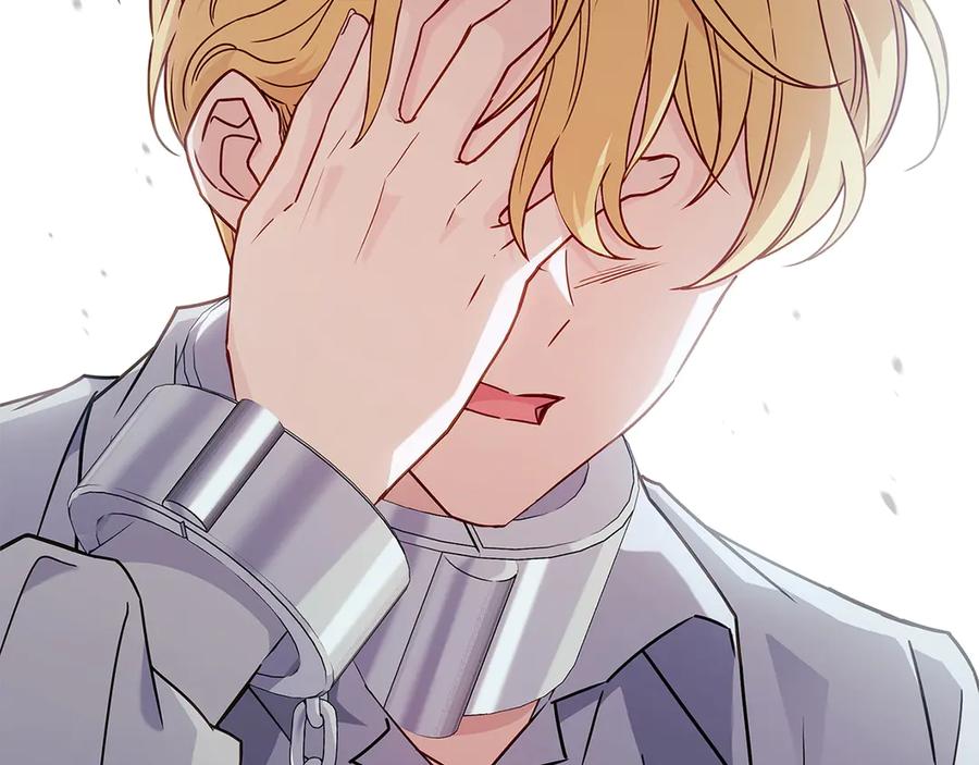 第242页