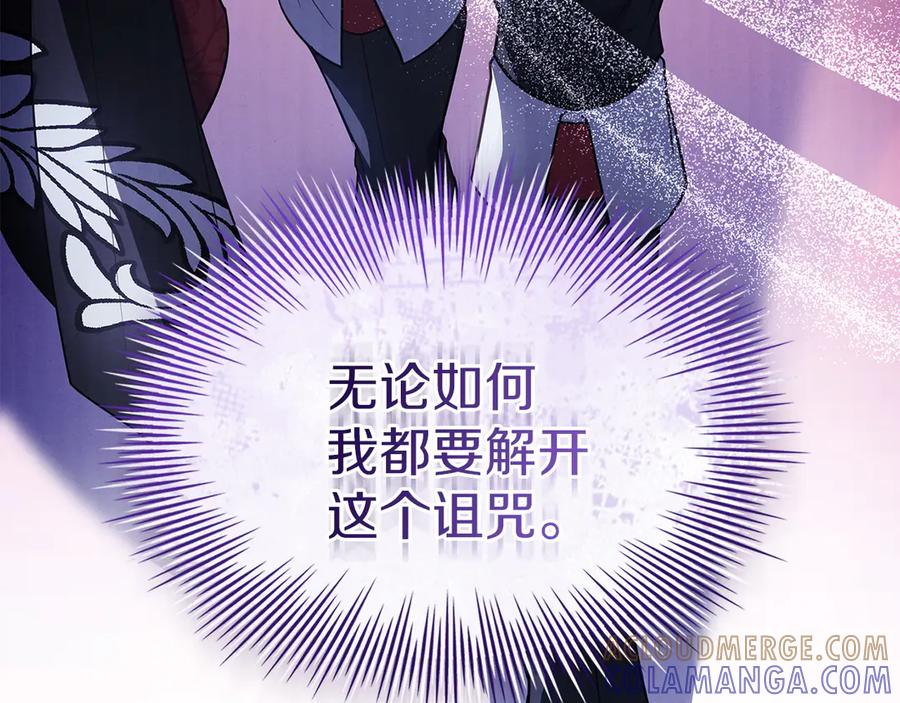 第241页