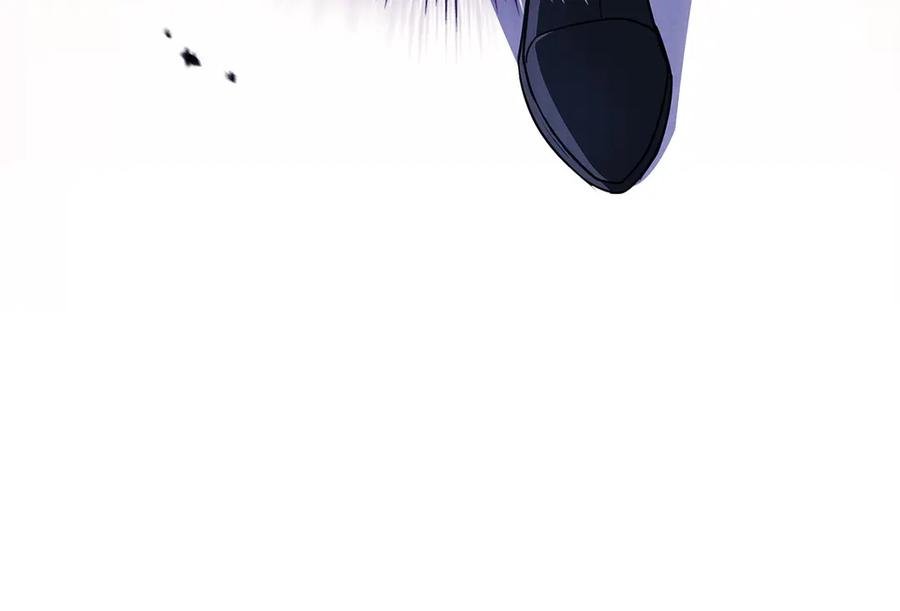 第242页