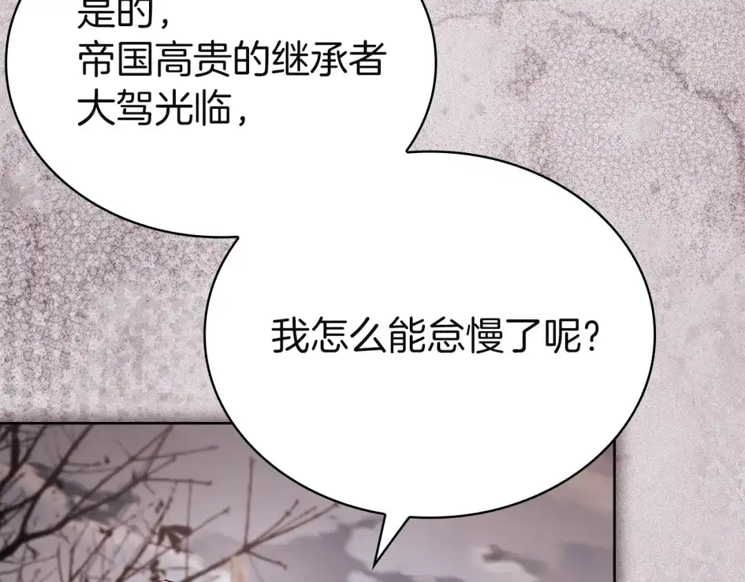 第213页