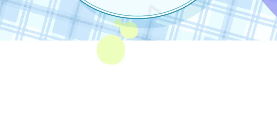 第205页