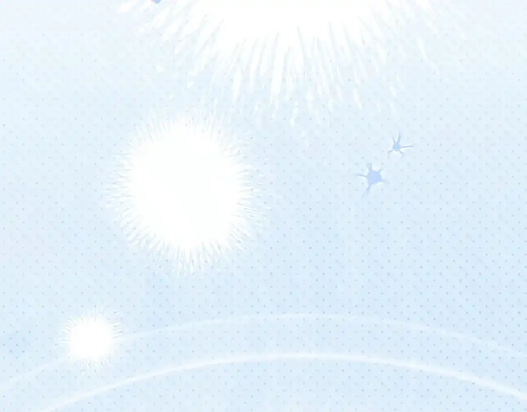 第217页