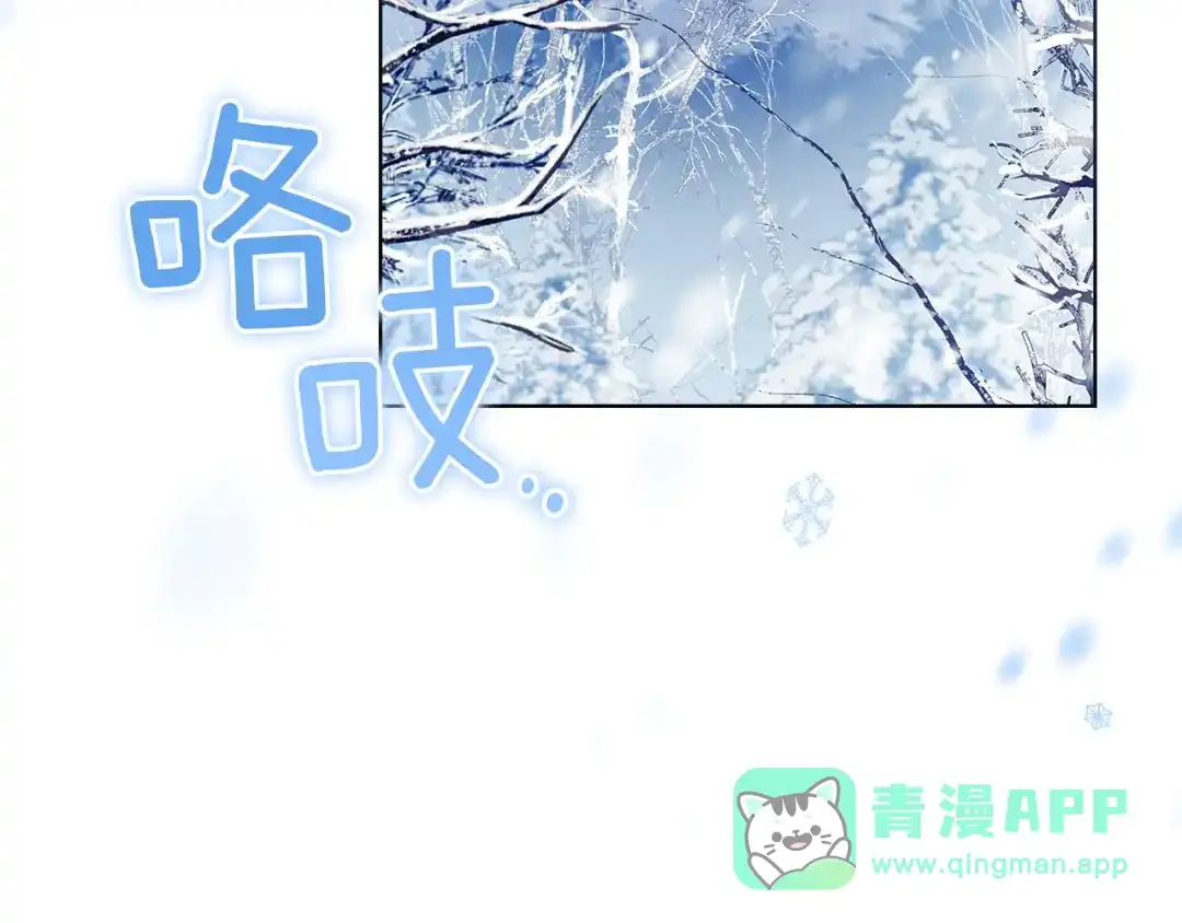 第241页