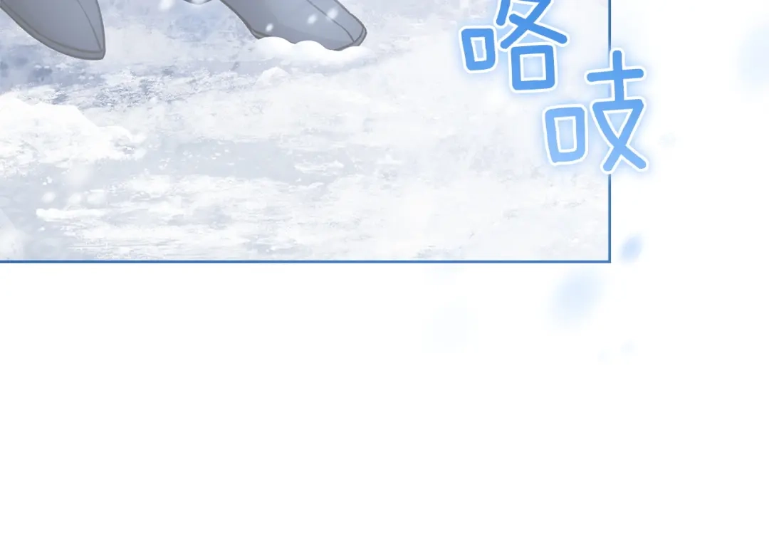 第243页