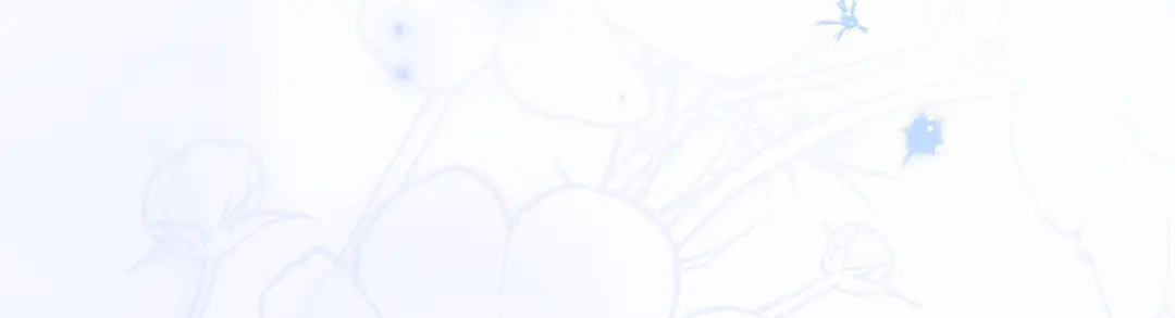 第265页