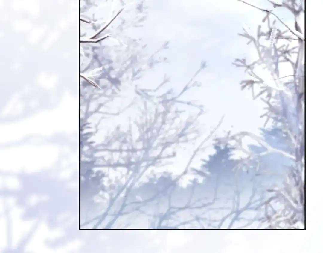 第229页