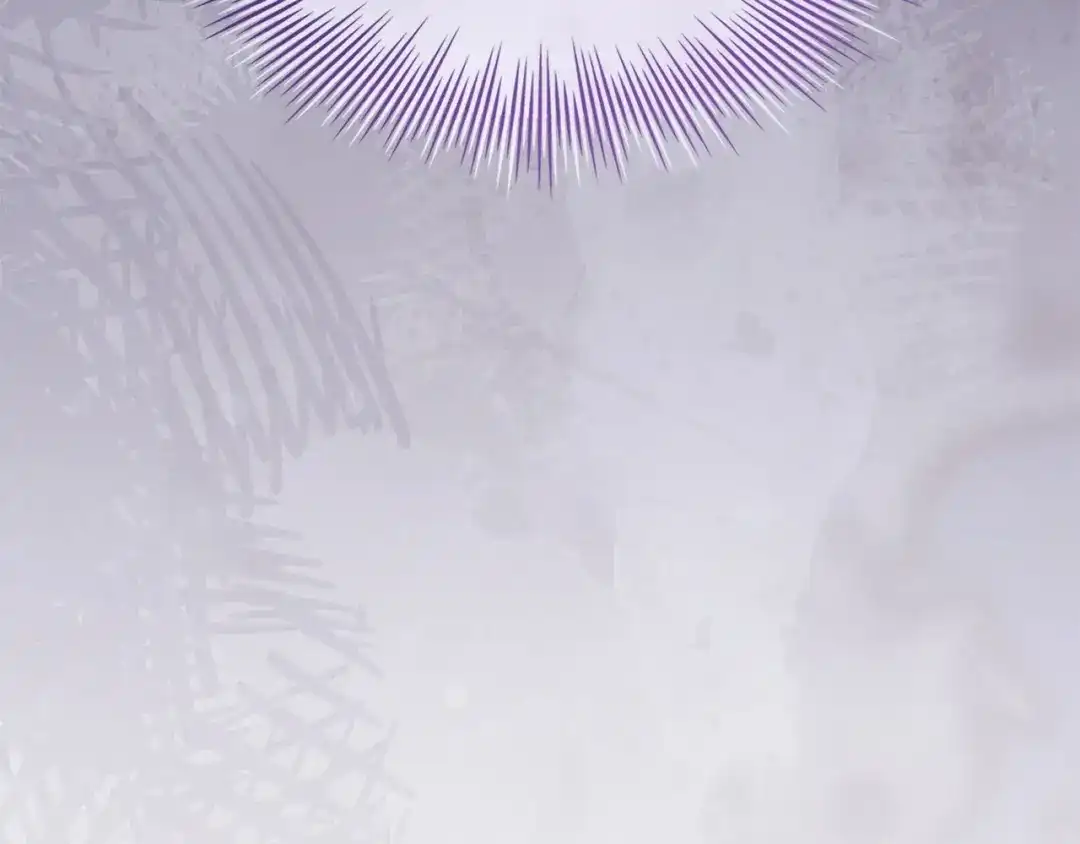 第242页