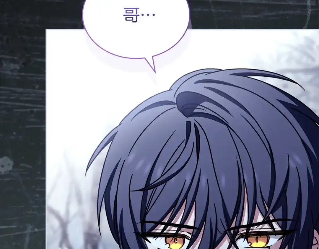 第245页