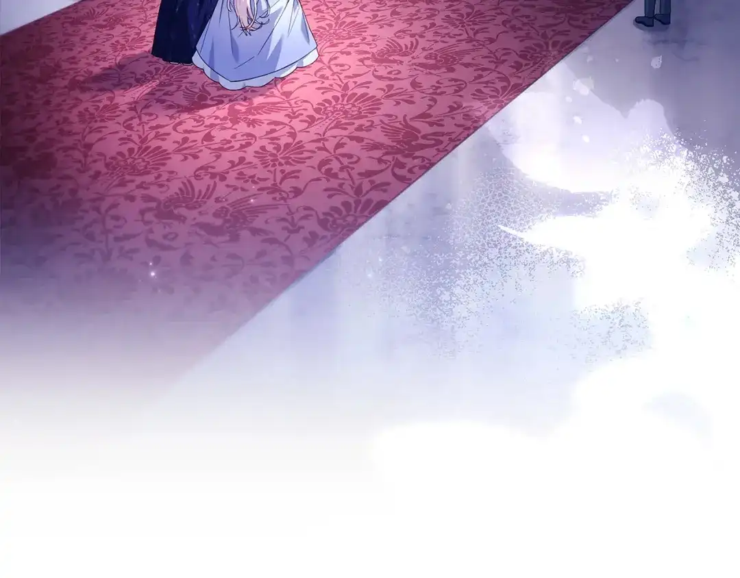 第239页