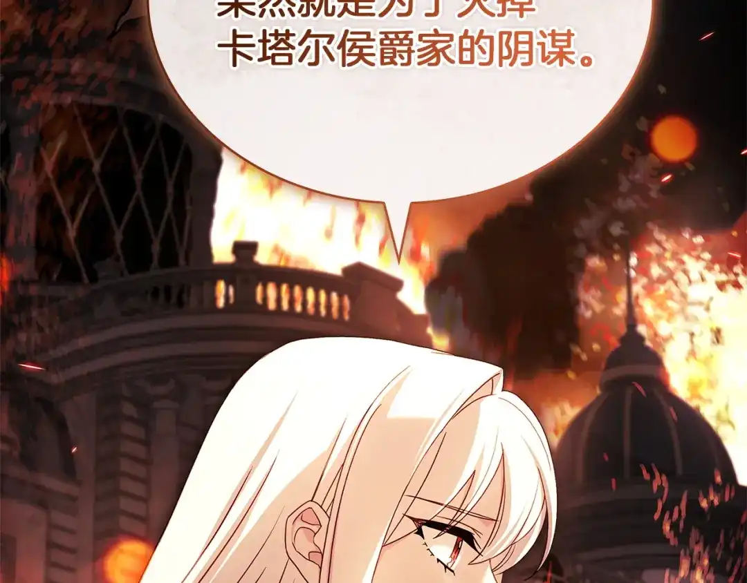 第239页