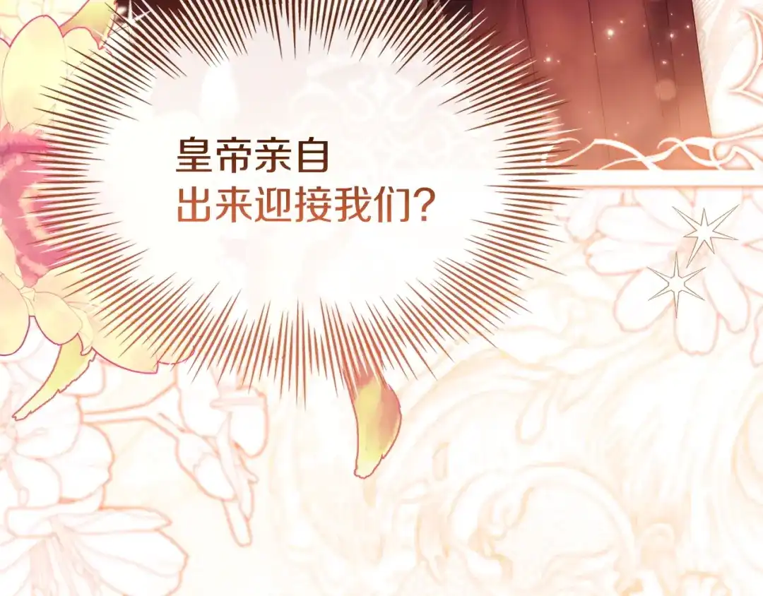 第224页