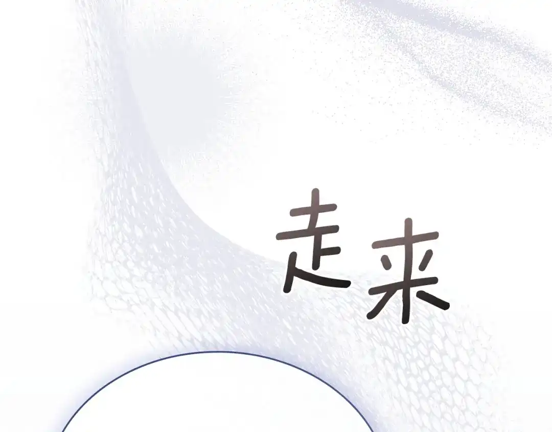 第228页