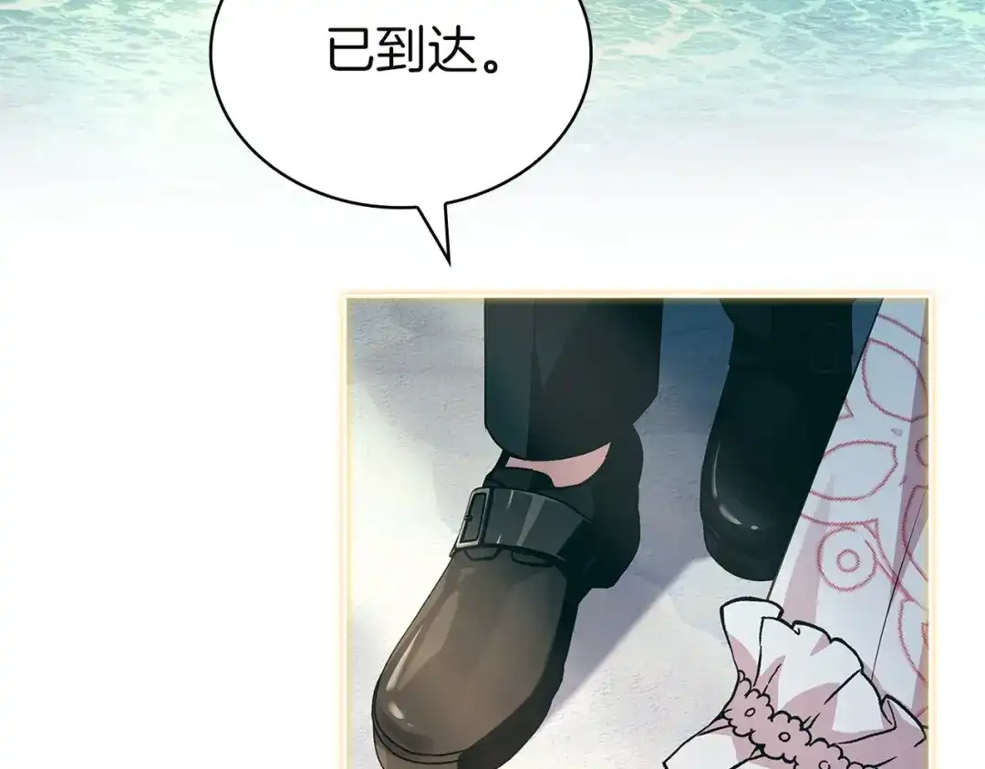 第223页