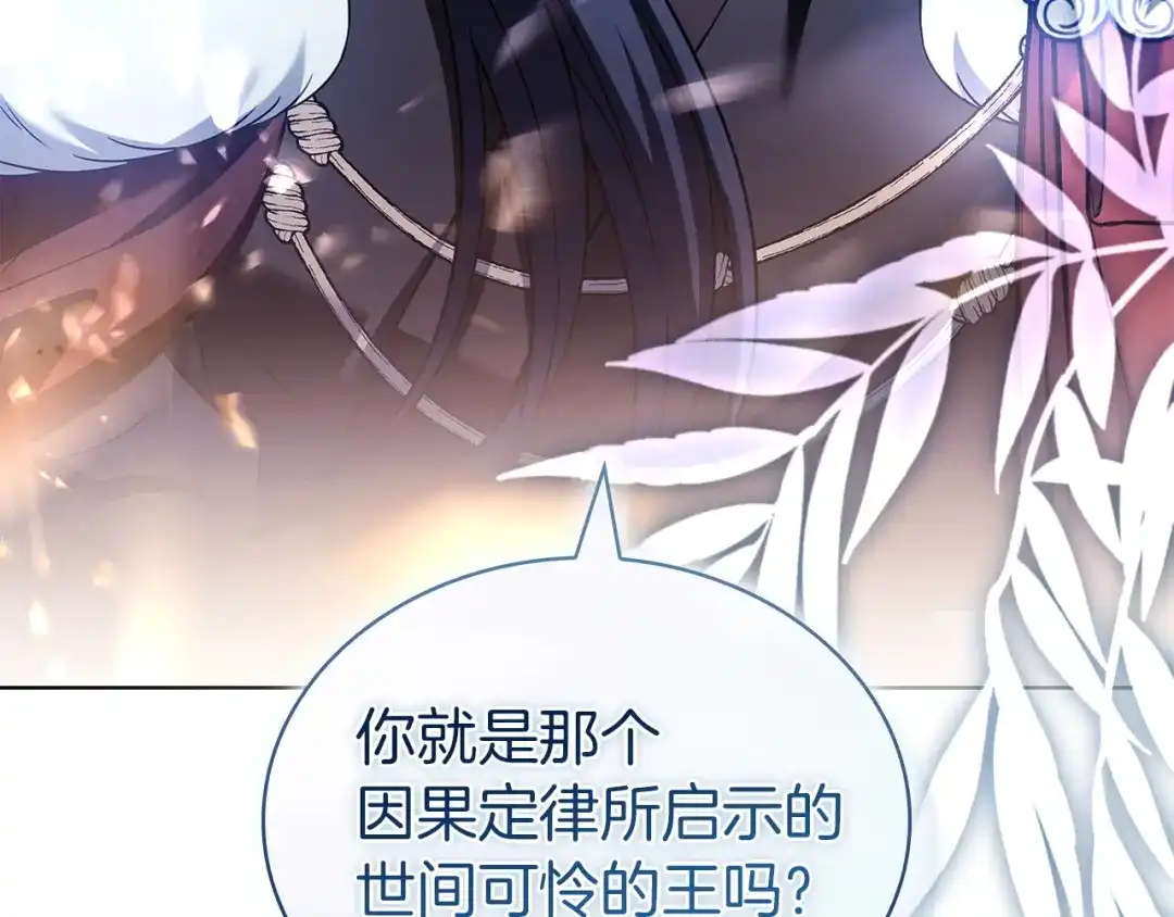 第239页