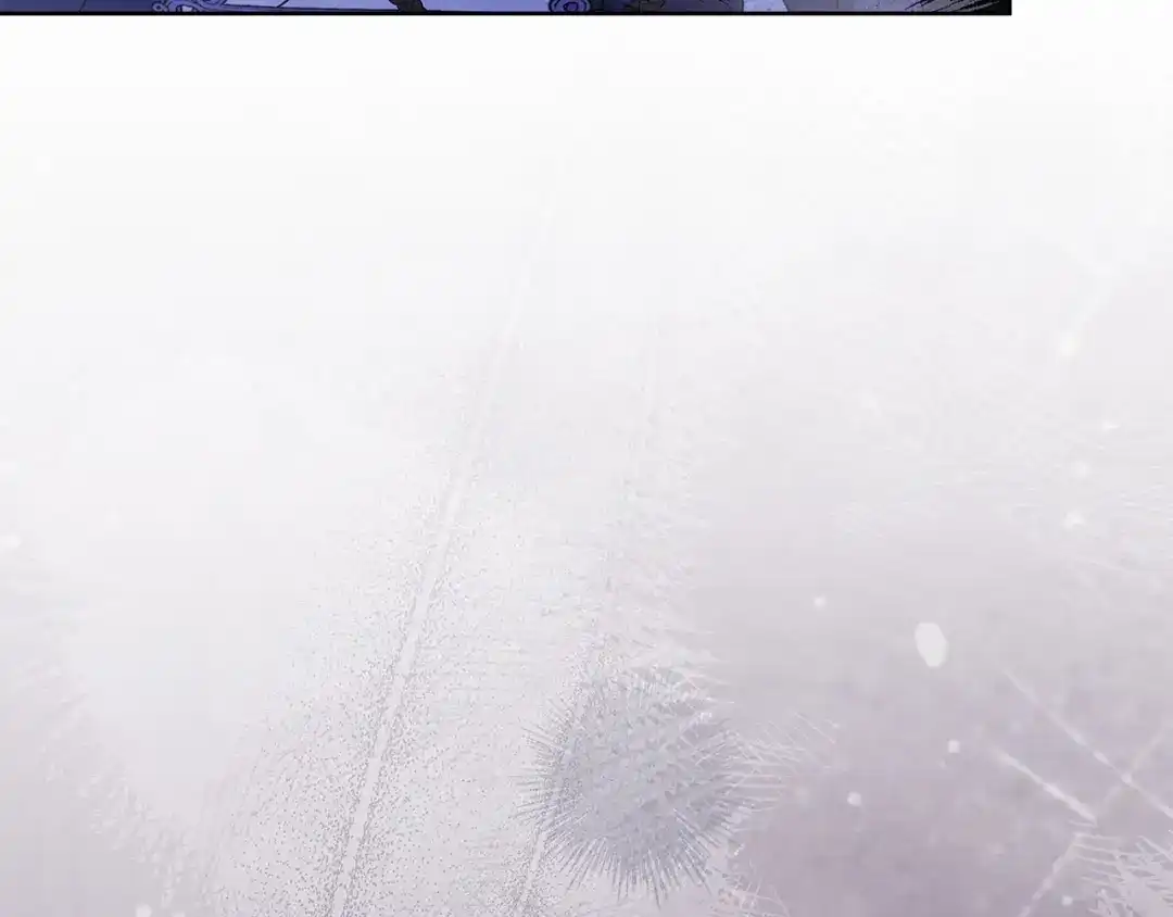 第251页