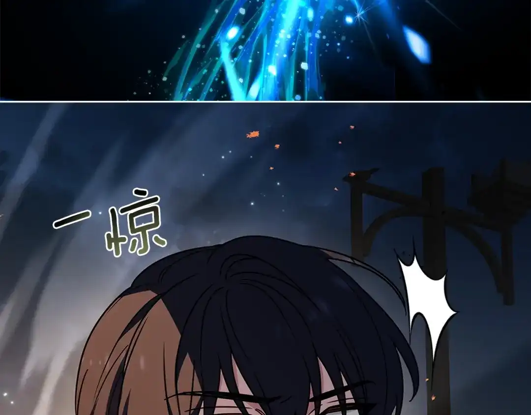 第229页